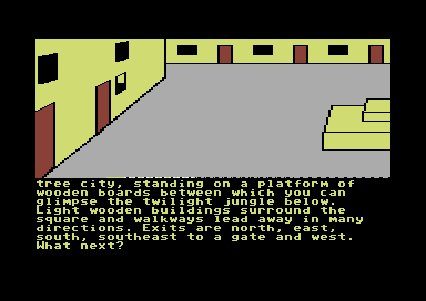 Emerald Isle (Commodore 64) screenshot: Standing in the main square.