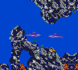 Ecco: The Tides of Time (Game Gear) screenshot: This Dolphin wants fish