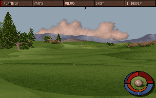 Hole in One (DOS) screenshot: After that, we get to see the ball landing.