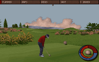 Hole in One (DOS) screenshot: In game, preparing to hit the ball.