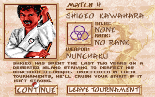 Budokan: The Martial Spirit (DOS) screenshot: Opponent for Match 4