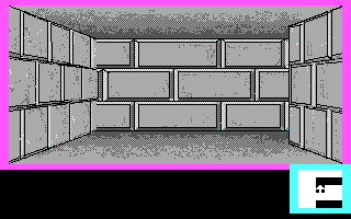 Qi Xiao Quan (DOS) screenshot: The "normal" mode begins - a really confusing and crawl through a drab dungeon