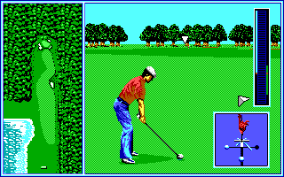 Arnold Palmer Tournament Golf (DOS) screenshot: In Action.