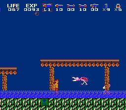 Rambo (NES) screenshot: The swamp. I never knew that flamingos were so vicious. Note the S at the bottom of map; use this to go down a level.