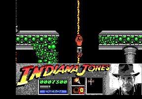 Indiana Jones and the Last Crusade: The Action Game (DOS) screenshot: Level 2 - Indy climbs a rope down further into the catacombs.