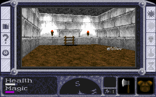 Thor's Hammer (DOS) screenshot: The ladder leads to the lower levels of the dungeon.