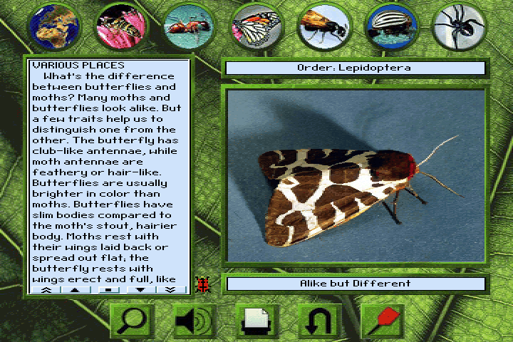 Bug Adventure (DOS) screenshot: Encyclopedia: everything about arthropods