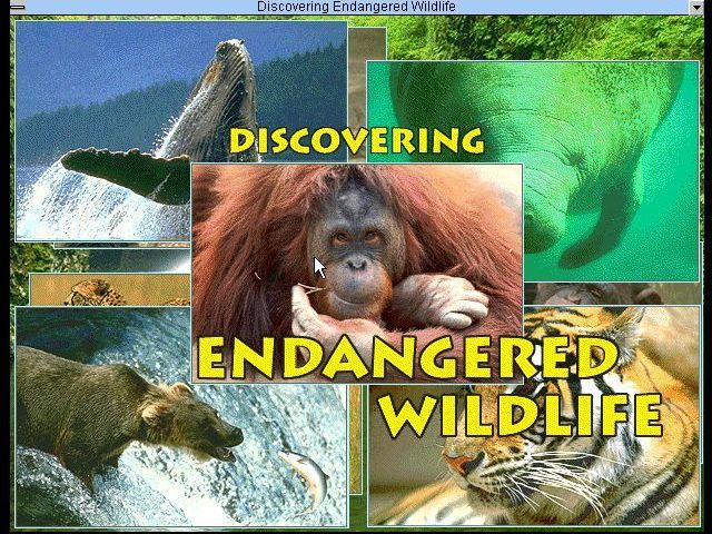 David Bellamy's Endangered Wildlife (Windows 3.x) screenshot: The second title screen