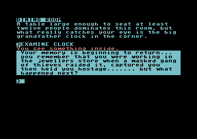 Million Dollar Jewel Heist (Commodore 64) screenshot: Your memory coming back.