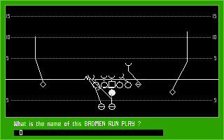 PlayMaker Football (DOS) screenshot: Manual protection
