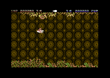 Scorpius (Commodore 64) screenshot: Let's investigate.