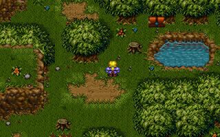 Legend of the Ancient Dragon (Windows) screenshot: Hostile area - forest