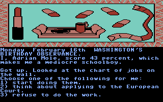 The Secret Diary of Adrian Mole Aged 13¾ (Commodore 64) screenshot: Looks like I got some chores to do...