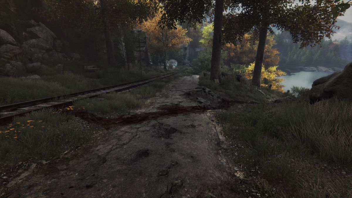 The Vanishing of Ethan Carter (PlayStation 4) screenshot: A bloody trail