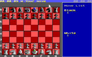 Sargon 4 (DOS) screenshot: 2D mode (EGA)