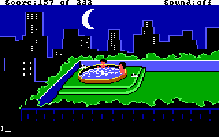Leisure Suit Larry in the Land of the Lounge Lizards (DOS) screenshot: Larry in a hot tub