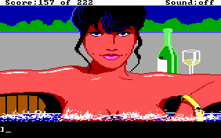 Leisure Suit Larry in the Land of the Lounge Lizards (DOS) screenshot: Is this the girl of Larry's dreams?