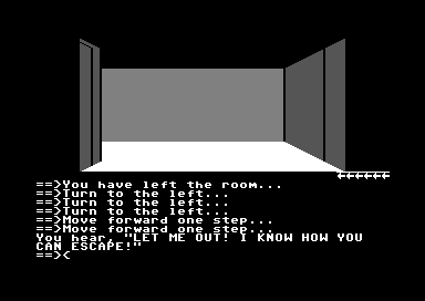 Asylum II (Commodore 64) screenshot: Moving about the asylum.