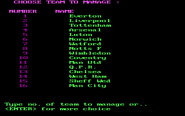 Football Manager (DOS) screenshot: Choosing our team.