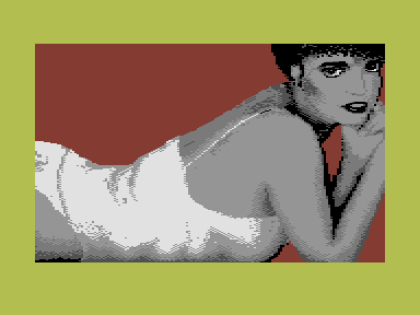 Strip Poker II Plus (Commodore 16, Plus/4) screenshot: My opponent has lost a few more clothes