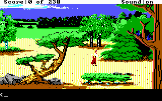 King's Quest IV: The Perils of Rosella (DOS) screenshot: AGI: Exploring the map