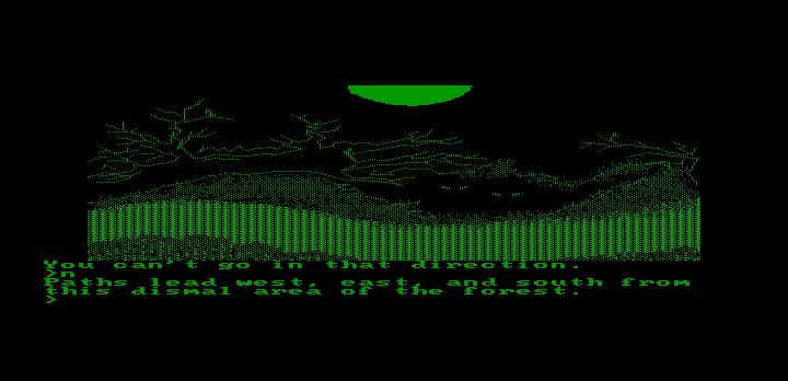 Transylvania (DOS) screenshot: Some menacing eyes watch me... (Hercules monochrome)