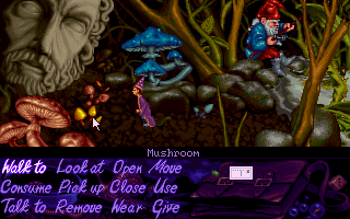 Simon the Sorcerer (DOS) screenshot: Shrunk Simon on dry land