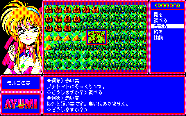 Ayumi (PC-88) screenshot: You'll have to discover hard-to-find locations on the world map to get the needed items