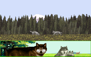 Wolf (DOS) screenshot: Cubs eating a brought portion of meat (from the demo sequence)