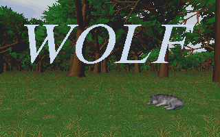 Wolf (DOS) screenshot: The ending credit sequence which appears on exiting the game