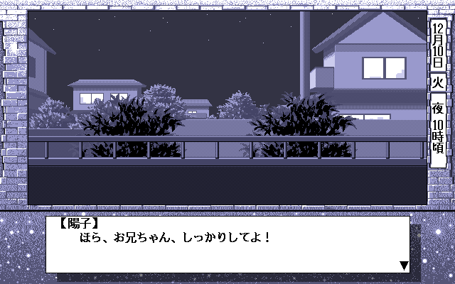 Ruriiro no Yuki (PC-98) screenshot: Romantic night...