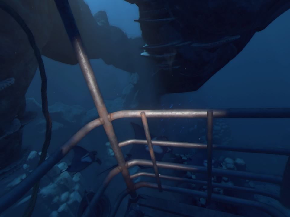 PlayStation VR Worlds (PlayStation 4) screenshot: Ocean Descent - The flashlight is mounted on your helmet and highlights the area ahead