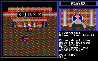 The Kingdom of Syree II: Black Magic (DOS) screenshot: A little chat with the King.