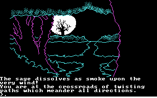 The Crimson Crown (DOS) screenshot: A scary pathway. (CGA)