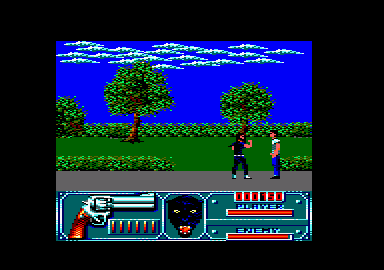 Wild Streets (Amstrad CPC) screenshot: Nice walk in the gardens.