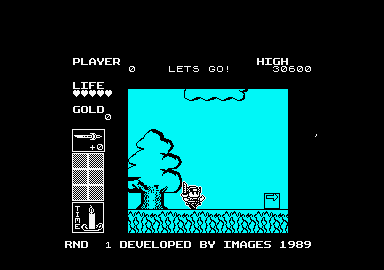 Wonder Boy in Monster Land (Amstrad CPC) screenshot: Let's go.