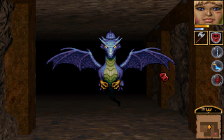 Anvil of Dawn (DOS) screenshot: Behold, a wyvern!