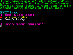 Demon from the Darkside (ZX Spectrum) screenshot: What next?