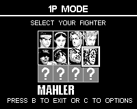 Fighters Megamix (Game.Com) screenshot: Character select