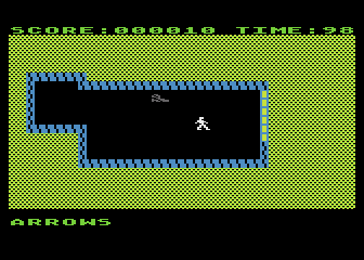 Gateway to Apshai (Atari 8-bit) screenshot: Beware of the rats! and bats, and snakes, and...