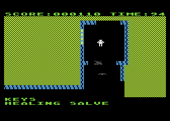 Gateway to Apshai (Atari 8-bit) screenshot: fortunately your key seems to open all doors