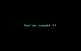 Castle Wolfenstein (DOS) screenshot: You're caught!