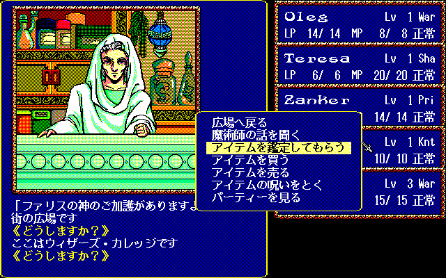 Record of Lodoss War: Haiiro no Majo (PC-98) screenshot: Special magical shop