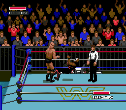 WWF Super WrestleMania (Genesis) screenshot: Sorry, it wasn't on purpose