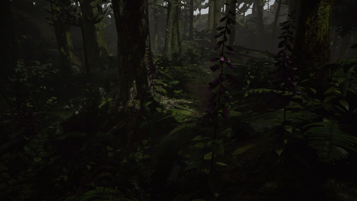 Screenshot of What Remains of Edith Finch (PlayStation 4, 2017) - MobyGames