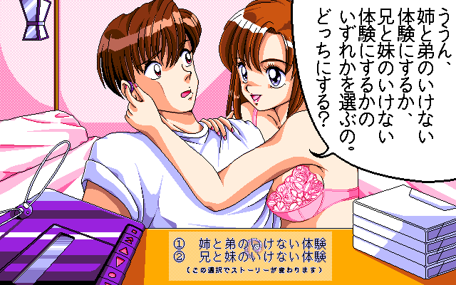 Pasocomic Purple Cat Volume. 2: Hospital Tokushū (PC-98) screenshot: Hmm... do I want to be an older brother or a younger brother?..