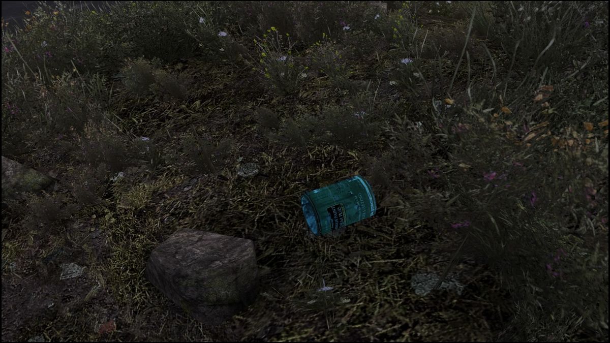Dear Esther: Landmark Edition (PlayStation 4) screenshot: You can zoom in to see objects and areas more closely