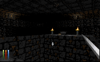 The Elder Scrolls: Daggerfall (Demo Version) (DOS) screenshot: Gotta use the levitate spell to get down there.