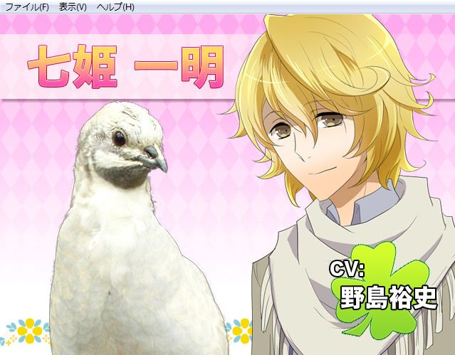 Hatoful Boyfriend (Windows) screenshot: When you meet a new pigeon, what he would look like as a human id shown