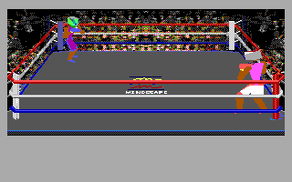 4-D Boxing (DOS) screenshot: Gameplay (EGA)